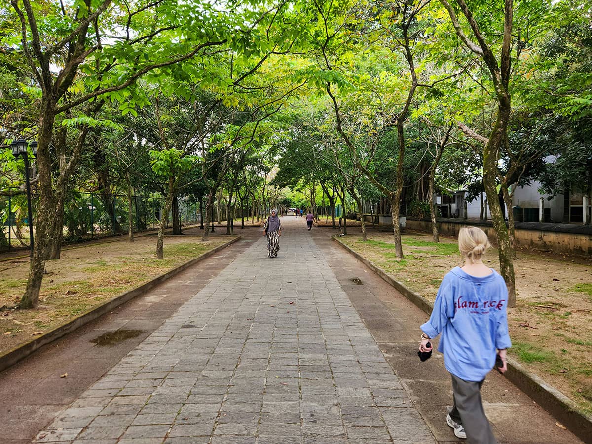 A woman slowly pacing in the park